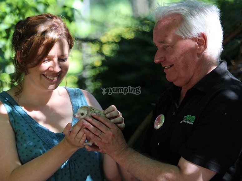 Belfast Zoo, prices and bookings 2024